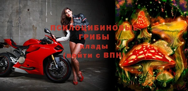 кокс Аркадак
