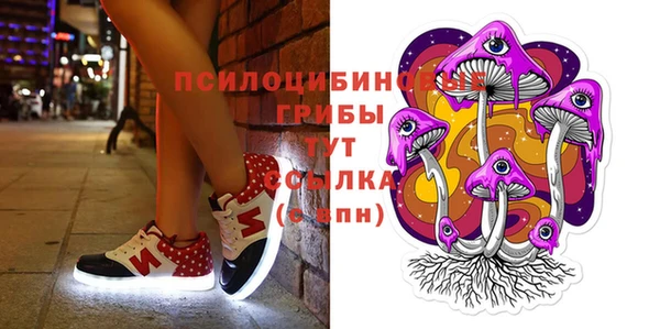 мяу мяу мука Арсеньев