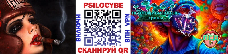 Псилоцибиновые грибы Magic Shrooms где купить наркоту Приволжск