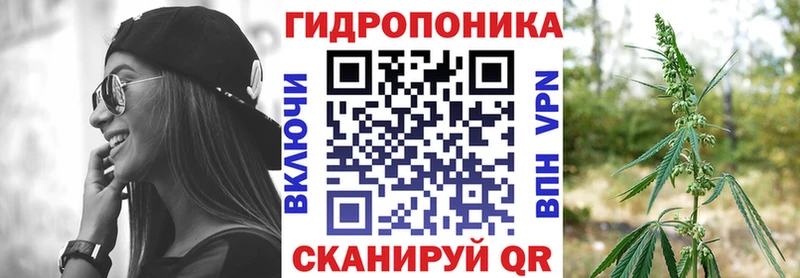 Марихуана сатива Приволжск